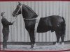 stallion Lenz v. Laucha II Mo 726 (Heavy Warmblood, 1943, from Lord I Mo 189 (OF 1678))