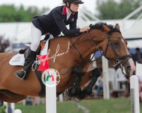 jumper Valerie B (KWPN (Royal Dutch Sporthorse), 2002, from Hold Up Premier)