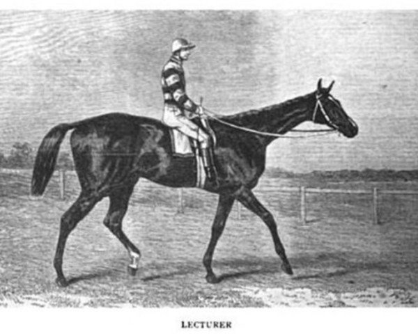 stallion Lecturer xx (Thoroughbred, 1863, from Colsterdale xx)