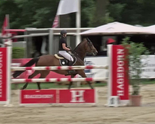 Reitturnier Münster-Handorf | Westfalen-Woche 2024