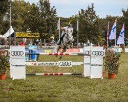 jumper Gina D'Agostina (Hanoverian, 2012, from Grey Top)