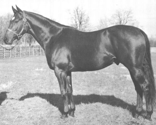 Deckhengst Blue Prince xx (Englisches Vollblut, 1951, von Princequillo xx)