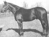 stallion Blue Prince xx (Thoroughbred, 1951, from Princequillo xx)