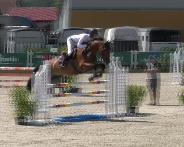 Reitturnier Sauldorf-Boll 2024