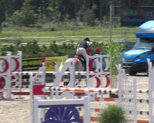 Reitturnier Sauldorf-Boll 2024