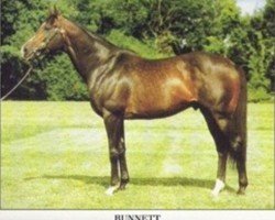 stallion Runnett xx (Thoroughbred, 1977, from Mummy's Pet xx)