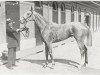 broodmare Frisky xx (Thoroughbred, 1919, from Isard xx)