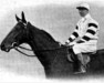 broodmare Salamandra xx (Thoroughbred, 1913, from St. Frusquin xx)