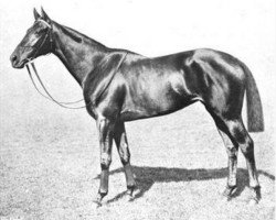 broodmare Electra xx (Thoroughbred, 1906, from Eager xx)