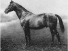 stallion Eager xx (Thoroughbred, 1894, from Enthusiast xx)