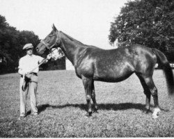 broodmare Comedienne xx (Thoroughbred, 1913, from Bachelor's Double xx)