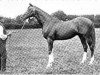 stallion Baliol xx (Thoroughbred, 1879, from Blair Athol xx)