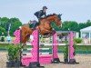 jumper Tabasco 105 (Oldenburg show jumper, 2017, from Taalex)