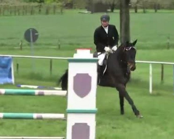 Reit- und Springturnier Brackenheim 2013