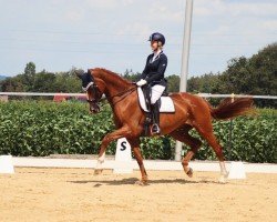 dressage horse Luminaty (Hanoverian, 2008, from Londonderry)