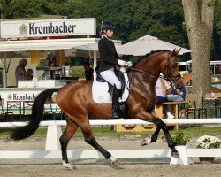 dressage horse Schorsch III CH (Westphalian, 2020, from Secret)