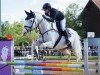 jumper Callive (Oldenburg show jumper, 2012, from Livello)