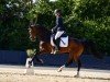 horse Pretty Paulina (KWPN (Royal Dutch Sporthorse), 2020, from Lanto HBC)