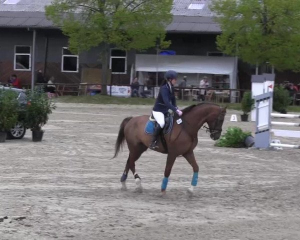 Halver - Frühjahrsturnier 2013