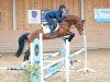 stallion Agamix Legend Z (Zangersheide riding horse, 2018, from Aganix du Seigneur)