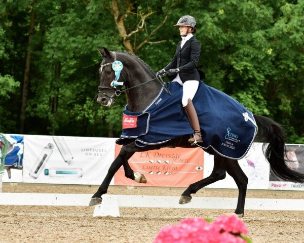 dressage horse Hades Von Seeder (Estonian Sport, 2016, from Hennessy)