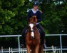 dressage horse Walzertanz (Hanoverian, 1999, from Wolkentanz I)