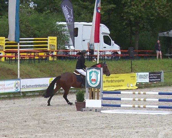 Reitturnier Grafenrheinfeld/Ufr. 2024