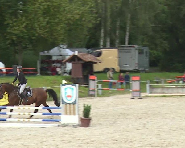 Reitturnier Grafenrheinfeld/Ufr. 2024