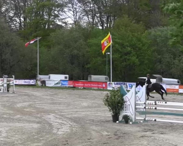 Halver - Frühjahrsturnier 2013