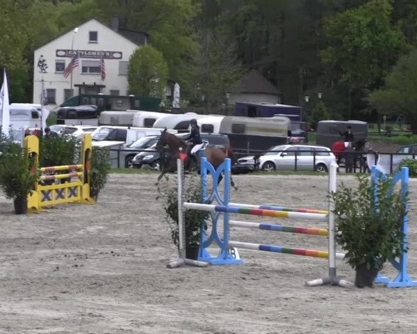 Halver - Frühjahrsturnier 2013