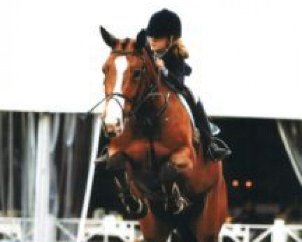 Springpferd Sissi de Longpre (Belgium Sporthorse, 2002, von Arpad des Six Censes)