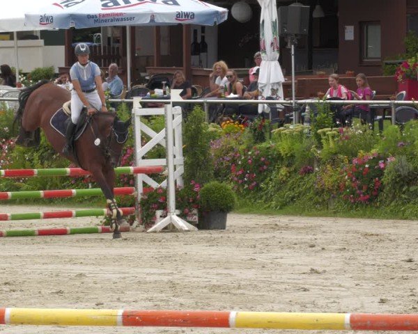 Reitturnier Oberderdingen 2024