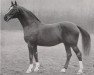 Pferd Detektiv (Hannoveraner, 1922, von Desmond)
