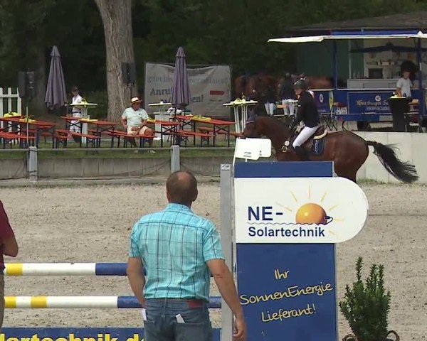 Reitturnier Grafenrheinfeld/Ufr. 2024