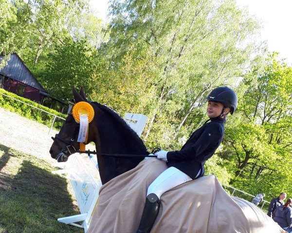 jumper Gina (German Riding Pony, 2003)