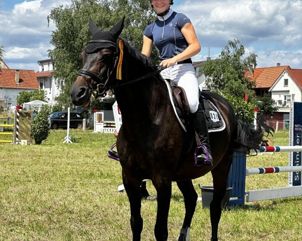 jumper Carry Luiz (Hanoverian, 2008, from Carlucci 13)