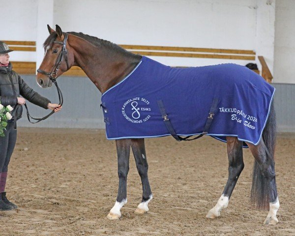 Deckhengst Picasso (KWPN (Niederländisches Warmblut), 2019, von Spielberg)