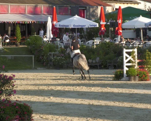 Reitturnier Oberderdingen 2024