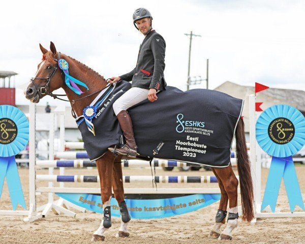 stallion Socrates van den Bosdam (Belgian Warmblood, 2018, from Eras Ste Hermelle)