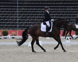 dressage horse Forever Love 6 (German Sport Horse, 2018, from For Dance)