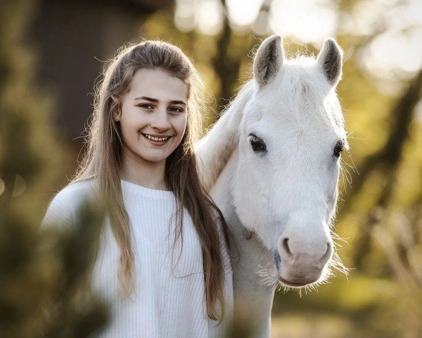 Dressurpferd Hengelhoefs Dalida (Welsh Mountain Pony (Sek.A), 2008)