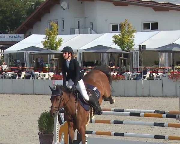 Reitturnier Grafenrheinfeld/Ufr. 2024
