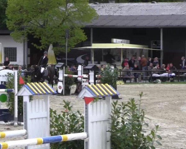 Halver - Frühjahrsturnier 2013