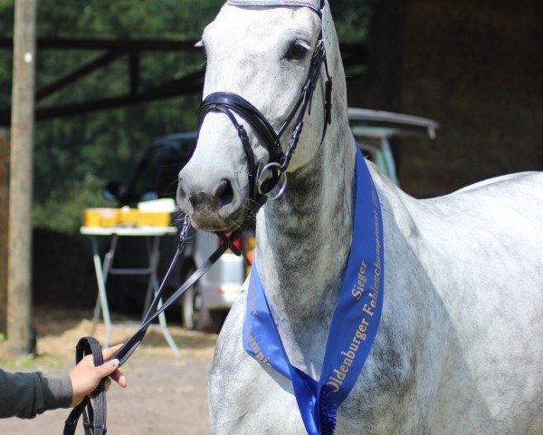 broodmare Cornet's Cara (Rhinelander, 2016, from Cornet Obolensky)