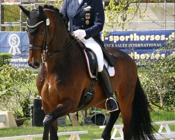 Dressurpferd Glock's Sir Schenkenberg (Deutsches Sportpferd, 2006, von Sir Donnerhall I)