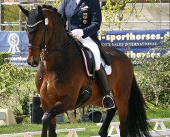 dressage horse Glock's Sir Schenkenberg (German Sport Horse, 2006, from Sir Donnerhall I)