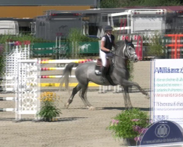 Reitturnier Sauldorf-Boll 2024