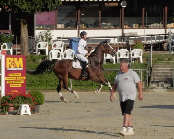 Reitturnier Oberderdingen 2024