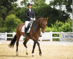 dressage horse Evita (Rhinelander, 2015, from Escolar)