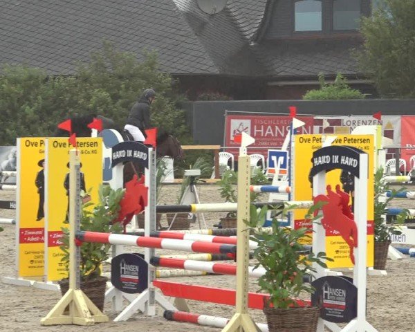 Reitturnier Behrendorf 2024